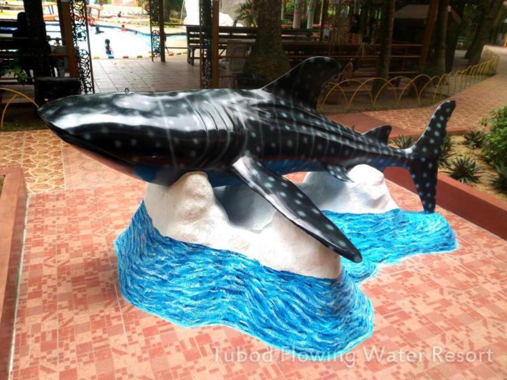 Tubod Flowing Water Resort Minglanilla Esterno foto